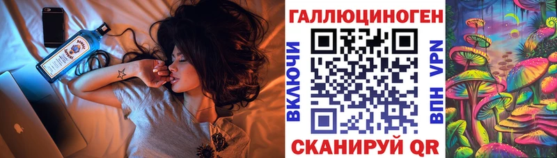 Купить где  Волгореченск  Галлюциногенные грибы Magic Shrooms 